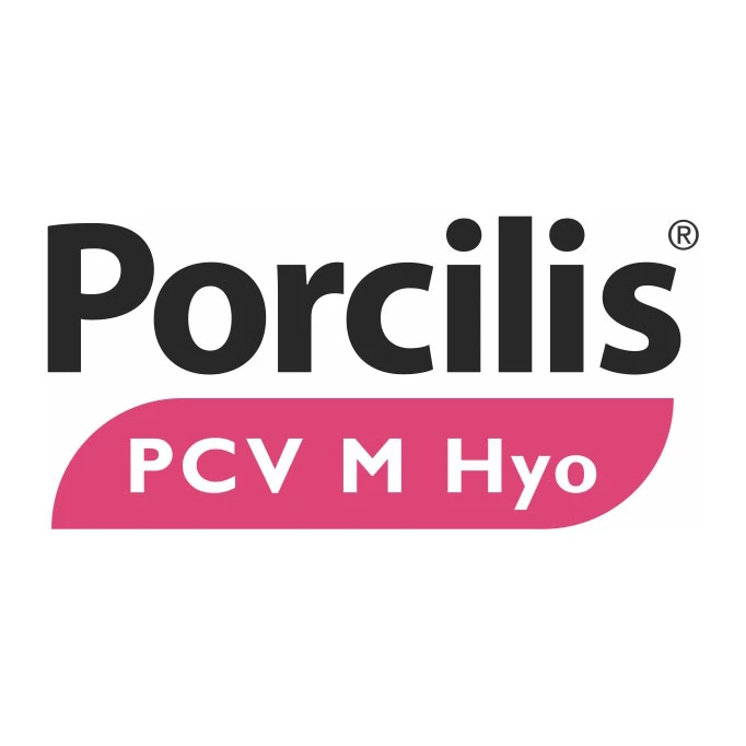 PORCILIS